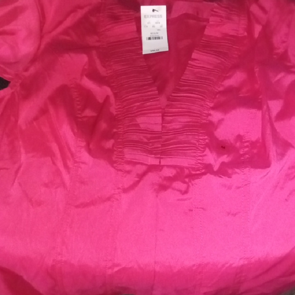 Express Pink Blouse
